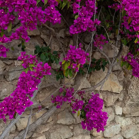 Holiday home La Torre Del Carmen - In Malaga
